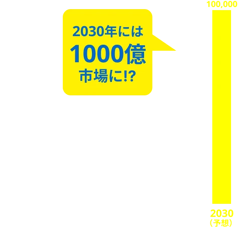 プログラミング市場の推移